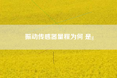 振動(dòng)傳感器量程為何 是g