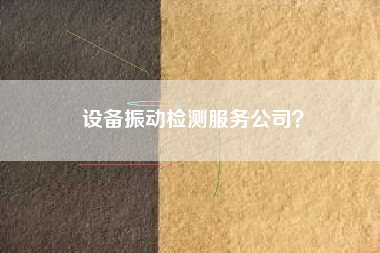 設(shè)備振動(dòng)檢測(cè)服務(wù)公司？