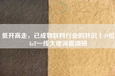 低開高走，已成物聯(lián)網(wǎng)行業(yè)的共識(shí)丨39位IoT一線大佬深度調(diào)研