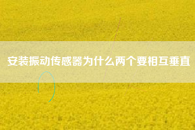 安裝振動傳感器為什么兩個要相互垂直