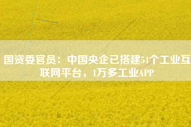 國資委官員：中國央企已搭建54個(gè)工業(yè)互聯(lián)網(wǎng)平臺(tái)，1萬多工業(yè)APP