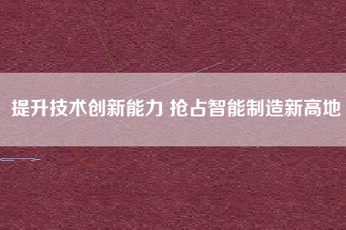 提升技術創(chuàng)新能力 搶占智能制造新高地